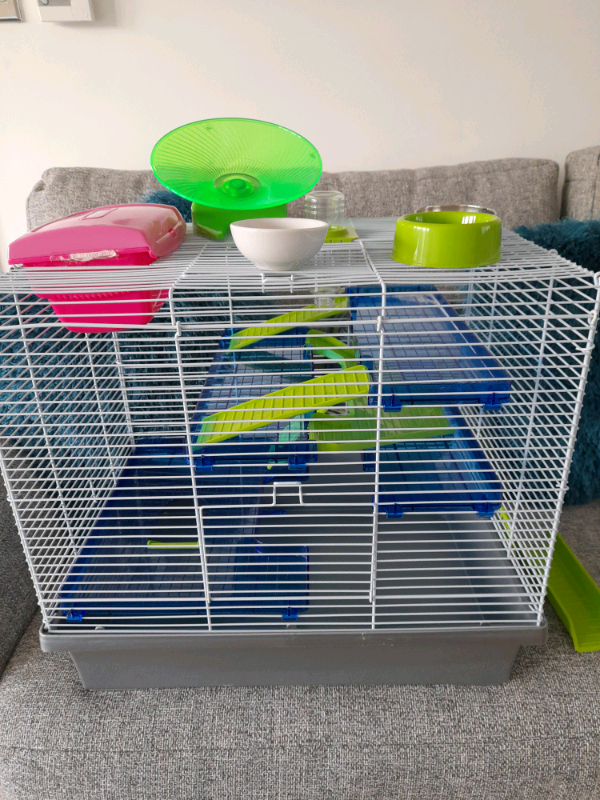 gumtree pet accessories